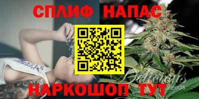 COCAINE Можга