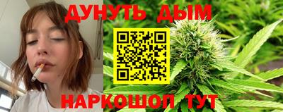 spice Моздок