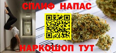 spice Моздок
