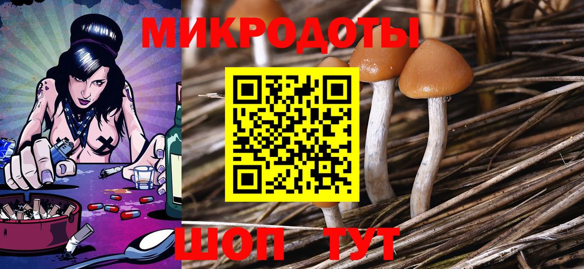 Галлюциногенные грибы мухоморы  закладки  Вичуга  Вход с VPN 
