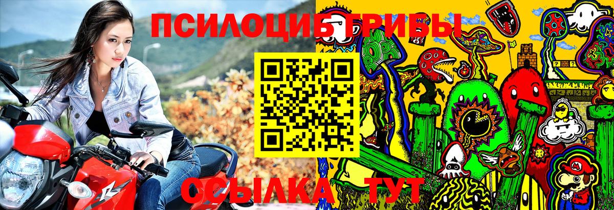 Галлюциногенные грибы Cubensis Вичуга